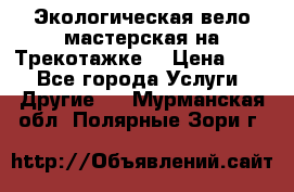 Экологическая вело мастерская на Трекотажке. › Цена ­ 10 - Все города Услуги » Другие   . Мурманская обл.,Полярные Зори г.